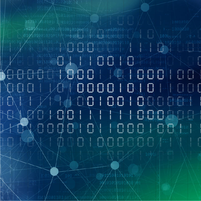 Recruitment vacancy 3