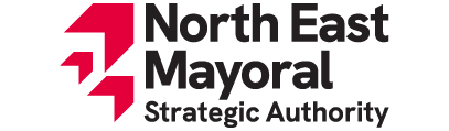 NEMSA